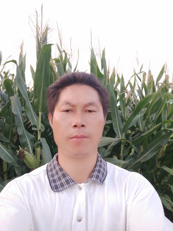 四海游龙的第二张照片--大庆相亲服务中心