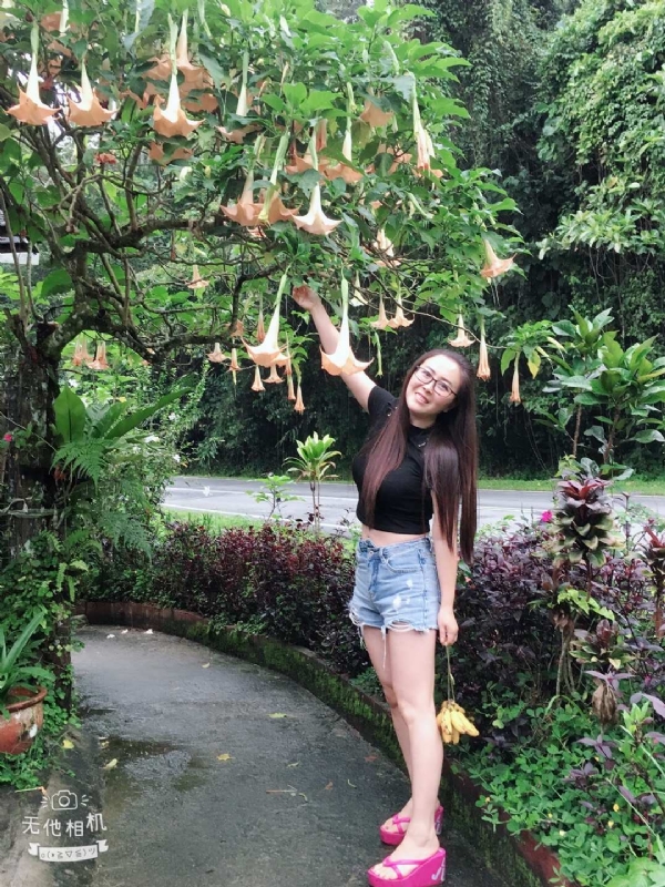 离异单身无子的第二张照片--大庆相亲服务中心