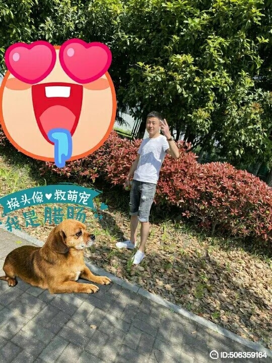 我若不坚强谁替我勇敢的第五张照片--大庆相亲服务中心