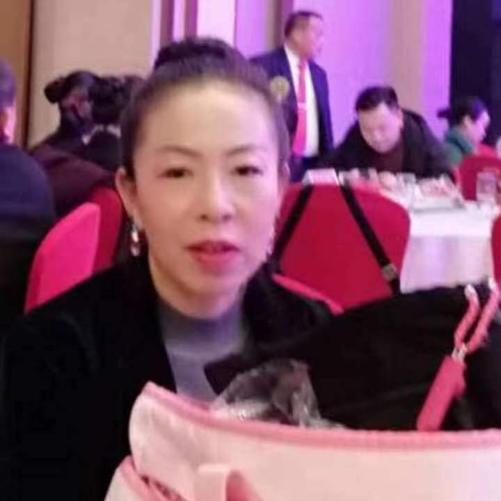 中秋桂花玉兔的第四张照片--大庆相亲服务中心