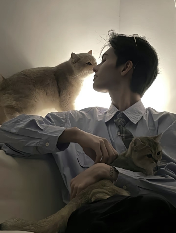怪猫的第一张照片--大庆相亲服务中心